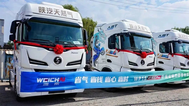 篮球投注