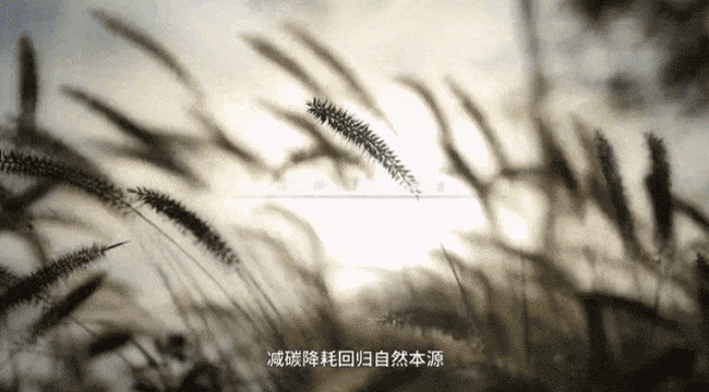 篮球投注