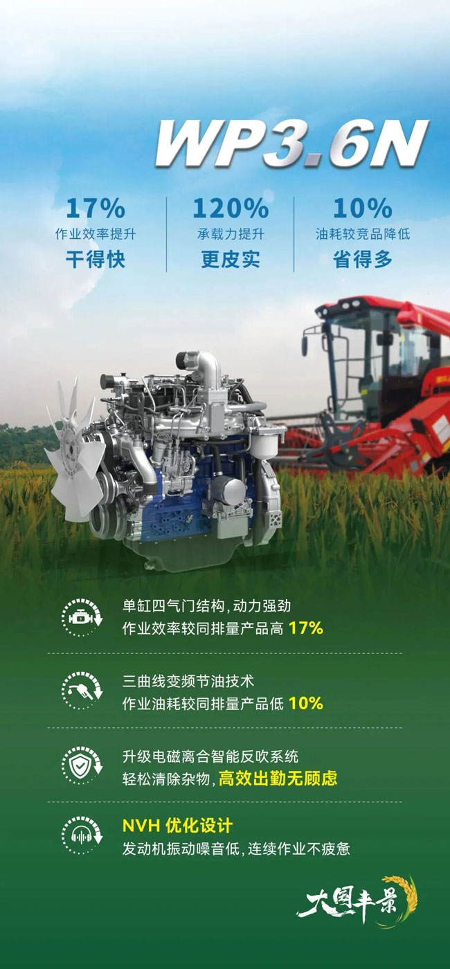 篮球投注