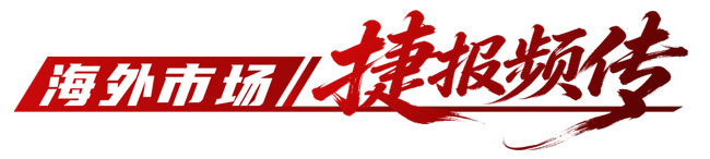 篮球投注