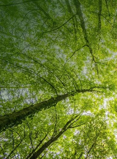 篮球投注-在线篮球博彩网站
董事、高级管理人员薪酬管理制度